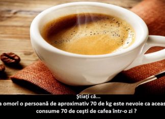 TOP 25 de lucruri despre CAFEA pe care sigur nu le ştiai