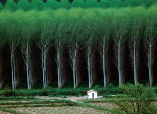 20 de fotografii uimitoare din natură care te vor lăsa fără cuvinte!