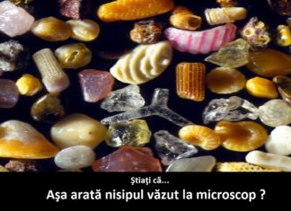 21 de curiozităţi despre lume pe care sigur nu le ştiai