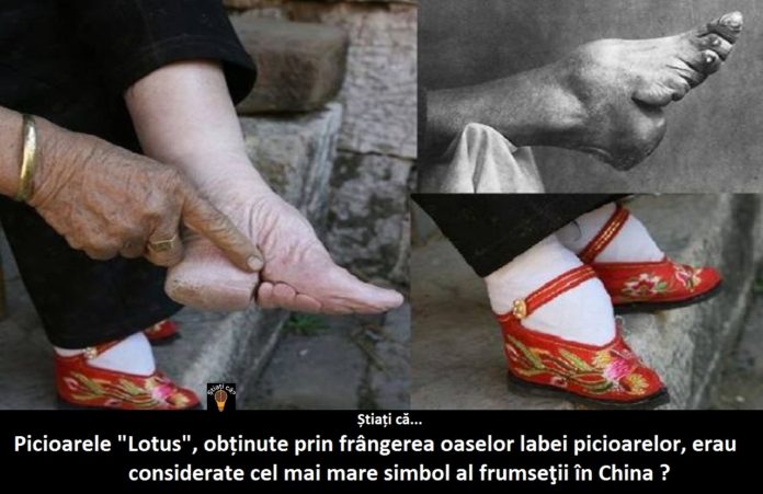 picioare