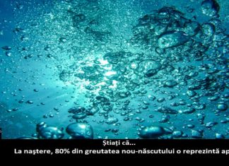 22 de curiozități pe care nu le știai despre apă