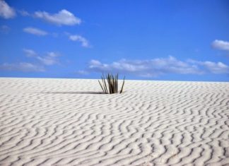 Desertul alb din New Mexico, un loc unic în lume