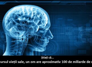 13 curiozități despre creierul uman, lucruri interesante pe care nu le știai