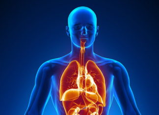 Un nou organ identificat in corpul uman! Cartile de medicina trebuie rescrise