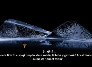 TOP 5 lucruri despre ŞTIINŢĂ pe care sigur nu le ştiai