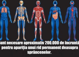 50 de lucruri uimitoare despre corpul uman: