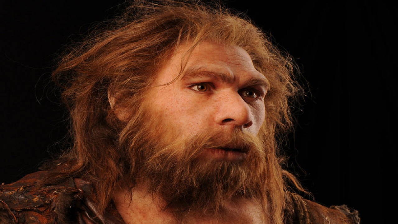 Hominizii care au locuit pe teritoriul actual al României acum două milioane de ani au trăit cu unelte primitive într-o lume a giganţilor