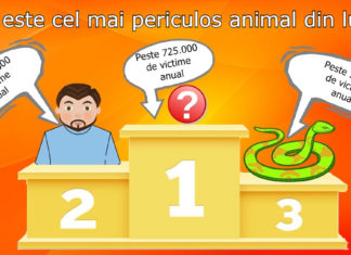 Topul celor mai periculose animale din lume | Dintre toate animalele lumii, de primele două te temi cel mai puțin!