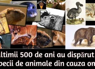 15 curiozități despre animale