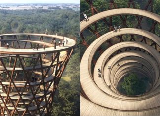 Imagini Spectaculoase: Acest Turn Forestier Spiralat vă permite să faceți o plimbare pe deasupra copacilor