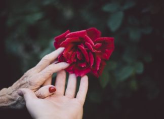 Se spune că nu ştii ce ai, până nu pierzi acel ceva. Adevărul este că știi exact ce ai, doar că nu crezi că vei pierde acel ceva, sau pe acel cineva.