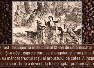 10 produse alimentare descoperite de greșeală