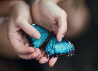 Ajută, fii om, fii un prieten bun, dar ai grijă, nu te lăsa folosit! Şi mai ales, nu uita de tine încercând mereu să-i mulţumeşti pe ceilalţi.