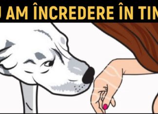 Știința confirmă: Câinii pot recunoaște o persoană rea!
