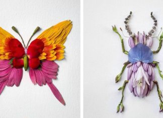 Acest artist a creat 8 tipuri de insecte colorate cu ajutorul florilor