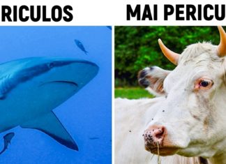 16 lucruri despre animale pe care nici măcar zoologii nu le cunosc