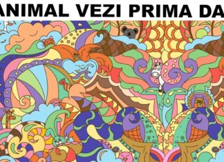 Animalul pe care îl observi prima dată spune multe despre personalitatea ta