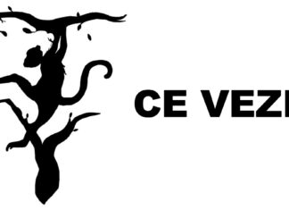 Prima imagine pe care o vezi dezvăluie Trăsăturile tale de Personalitate