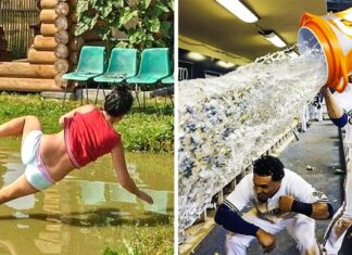 20 de fotografii atât de perfect realizate încât merită un premiu
