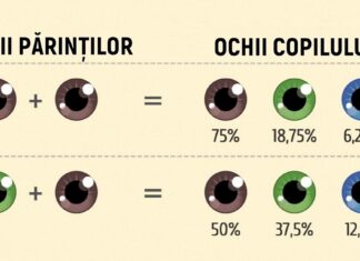 Ghidul perfect care îți dezvăluie cum va arăta copilul tău