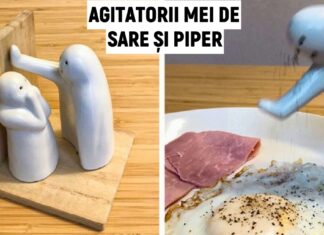 15 designeri care probabil au baut apă din Fântâna Creativității
