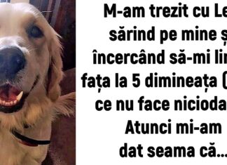 21 de povești care dovedesc că nu numai oamenilor le pasă de câini, dar și viceversa