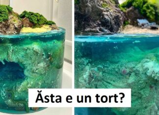 O femeie din Ucraina creează capodopere care te fac să întrebi: „Ăsta e un tort?”