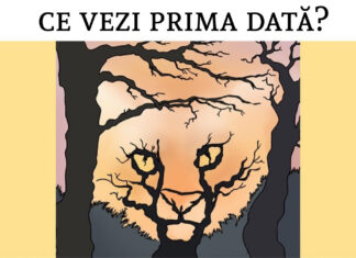 Prima imagine pe care o vezi poate dezvălui multe despre tine și personalitatea ta