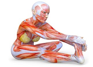 10 exerciții de întindere pentru a vă face la fel de flexibil precum o pisică