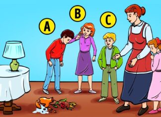 Test: Cine crezi că a spart vaza? Alegerea ta spune multe despre personalitatea ta