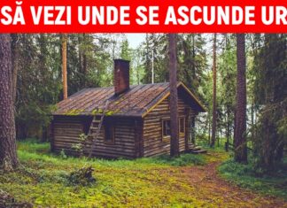 Punem pariu că nu găsiți toate animalele din aceste fotografii