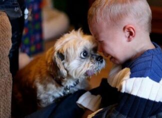 25 de fotografii care arată de ce fiecare copil ar trebui să aibă un animal de companie