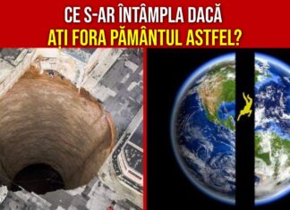 12 Fapte absolut uimitoare pe care abia le poți crede că sunt adevărate