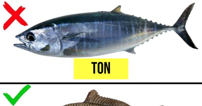 TTT