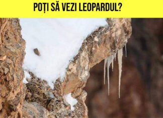 Doar cei mai atenți oameni sunt capabili să găsească detaliile ascunse din aceste 17 imagini