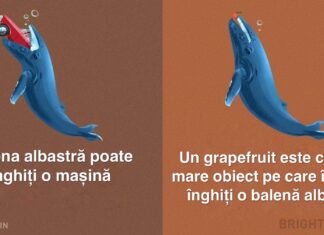 9 mituri despre animale pe care încă le credem a fi adevărate