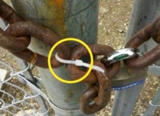 18 Soluții Hilare la Problemele Zilnice