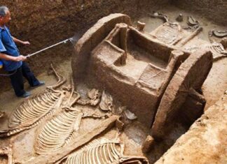 10 descoperiri arheologice uimitoare care au fost pur întâmplătoare