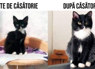 Nouă fotografii amuzante care arată cum ți se schimbă viața după căsătorie