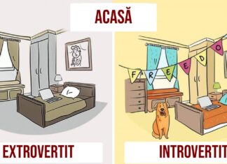 12 Ilustrații care arată modul în care introvertiții și extrovertiții văd lumea