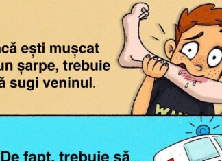 9 mituri de supraviețuire care în loc să te ajute te-ar putea răni