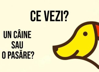 Primul lucru pe care îl vezi în aceste 4 imagini va dezvălui totul despre tine și personalitatea ta
