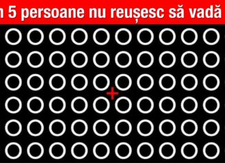 TEST: Cât de atent este creierul tău la identificarea detaliilor?