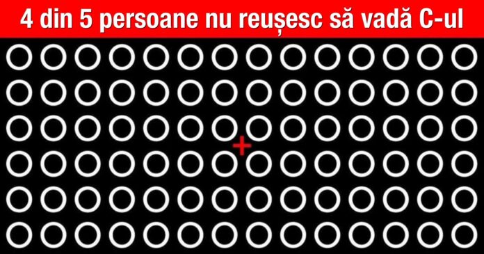 www