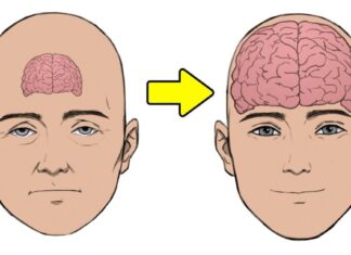 8 sfaturi de la neurologi despre cum să devii perfect fericit