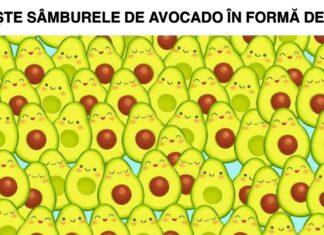 TEST: Dovada că aveți ochi de vultur dacă găsiți detaliul care este diferit