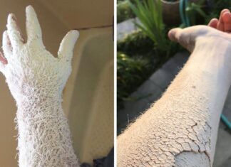 19 fotografii care nu au nevoie de Photoshop pentru a vă atrage atenția