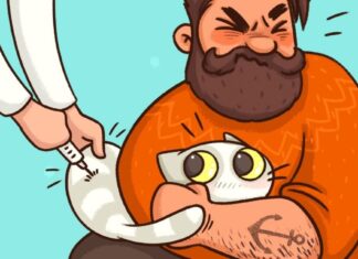 13 ilustrații amuzante despre ceea ce le facem animalelor noastre de companie