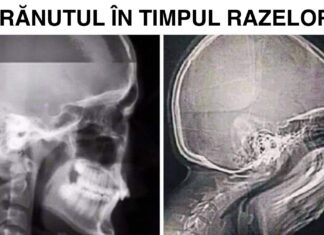 19 fotografii care demonstrează că uneori chiar lucrurile complet obișnuite ne pot uimi