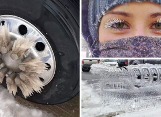 28 de fotografii înghețate care demonstrează că iarna nu este pentru cei slabi